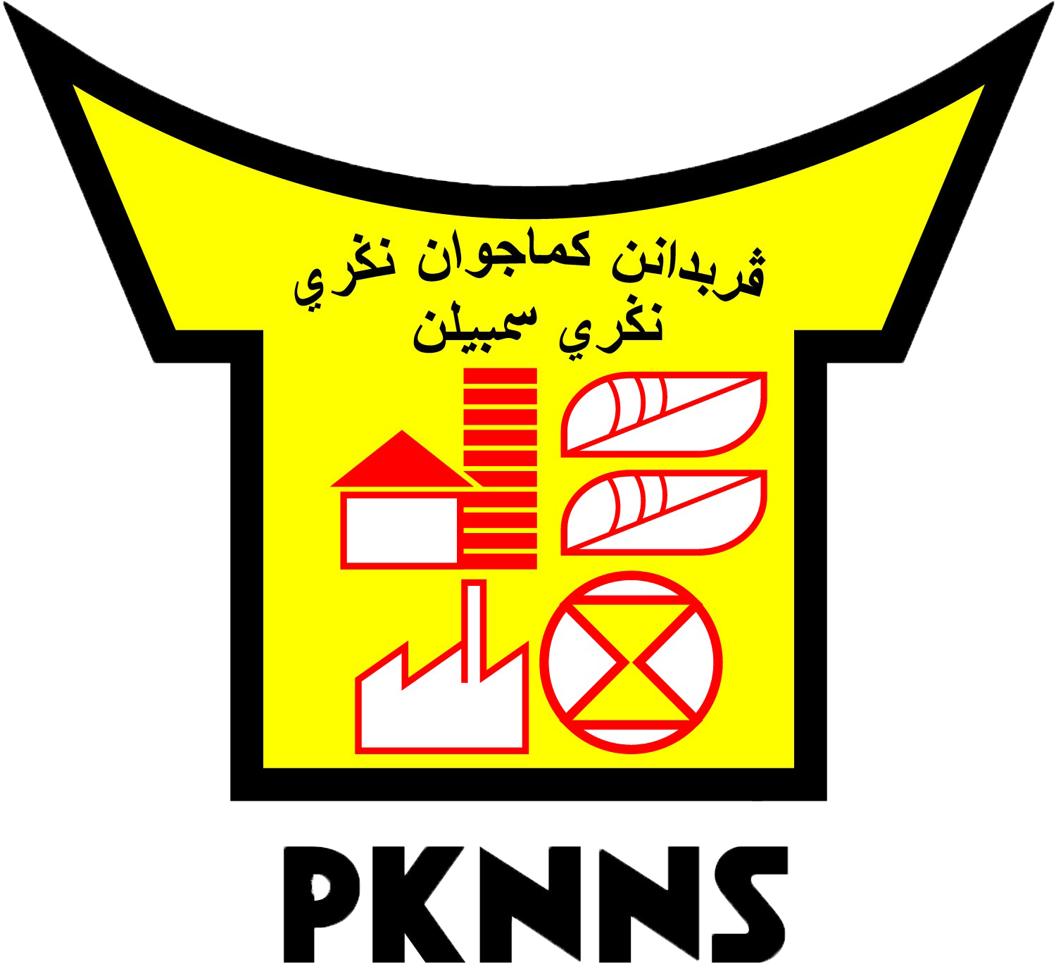 logo pknns