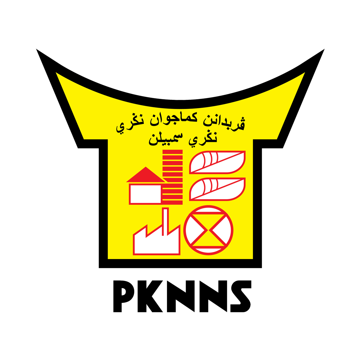 Logo PKNNS